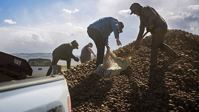 The first shipment purchased was 43,000 pounds of potatoes from Cranney's Farms in Idaho