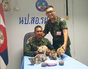 Thatsaphon Saii (seated)and the 4 kittens he saved