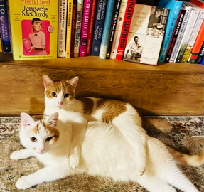 Mouse and Georgie hang out by a book shelf.