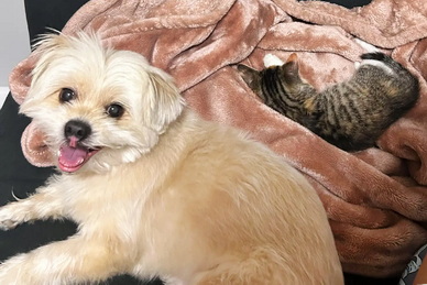 King and little Emmie