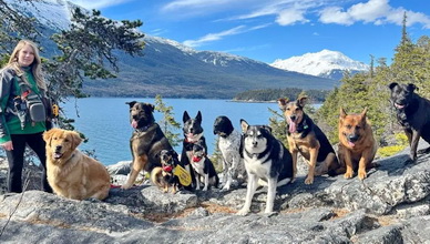 Mo Mountain Mutts